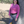 Person wearing a pink top and gray riding pants leaning against a tree outdoors.