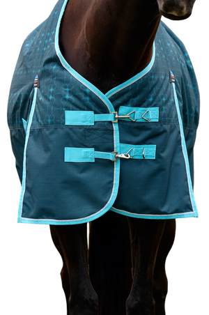 WB Comfitec Limited Edition Turnout