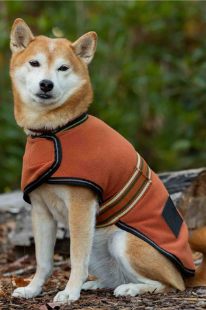 norse_chilidog