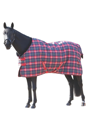 A horse wearing a red and blue plaid stable blanket with fleece trim, buckle chest straps, and a tail cord.
