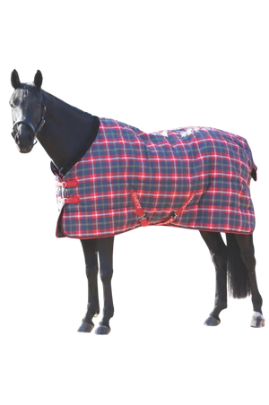A horse wearing a red and blue plaid stable blanket with fleece trim, buckle chest straps, and a tail cord.
