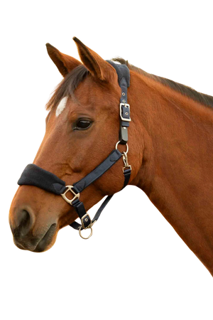 saga_ba_halter_blk
