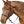 saga_bitless_blk