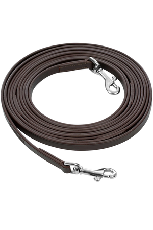 saga_draw_reins