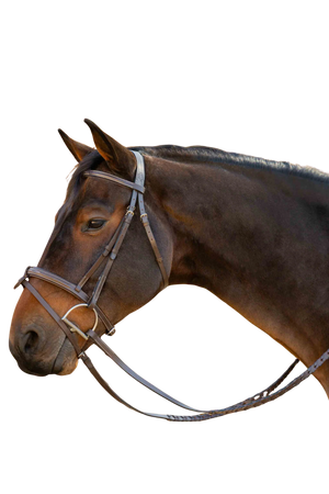 saga_fs_detach_flash_noseband