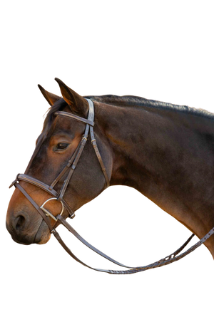 saga_fs_detach_flash_noseband