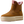 saylor_shrimp_front