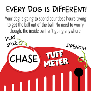 Jolly Ball Teaser Ball