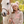 thora_full