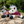 toy_rugs