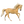 Andalusion Stallion