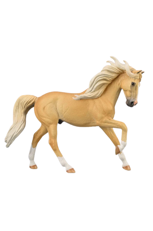 Andalusion Stallion