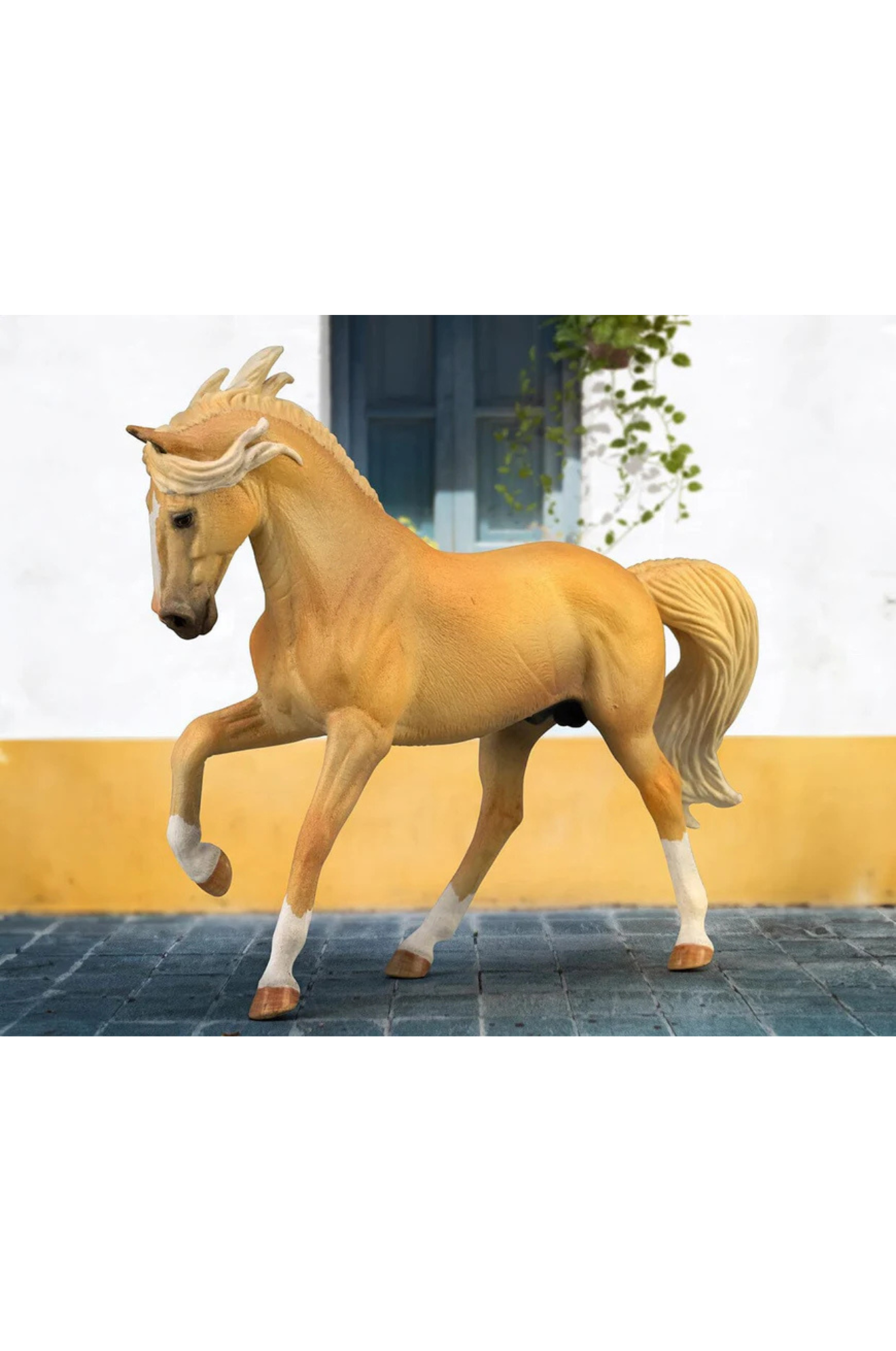 ANDALUSIAN STALLION