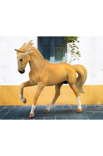 ANDALUSIAN STALLION