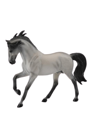 Andalusian Grey Stallion