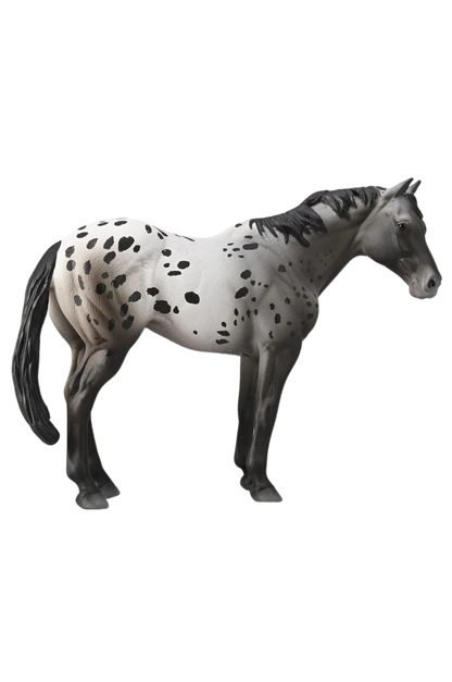 APPALOOSA BLUE ROAN