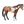 Appaloosa Stallion Bay Ovpaint