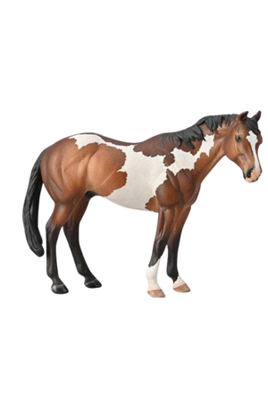 Appaloosa Stallion Bay Ovpaint