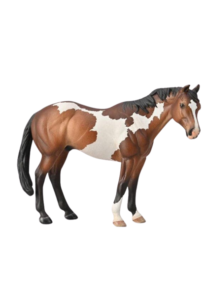 APPALOOSA STALLION BAY OVPAINT