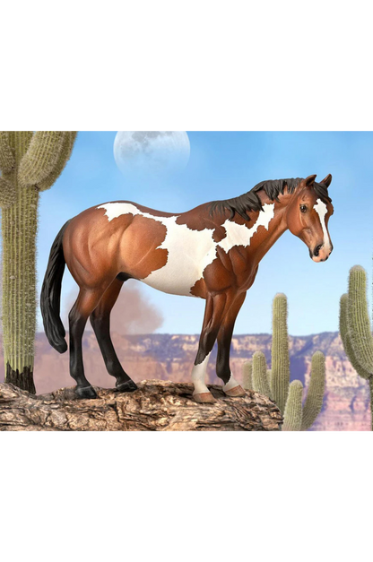 APPALOOSA STALLION BAY OVPAINT