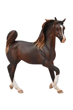 Arabian Liver Chestnut Mare