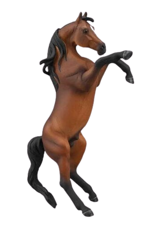 Arabian Rearing Stallion