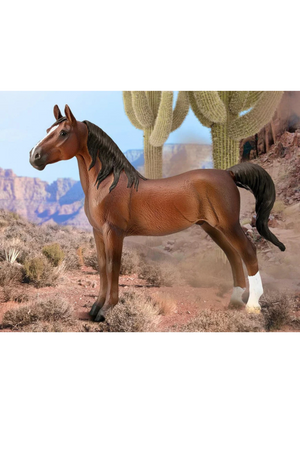 American Saddlebred Stallion