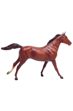 Phar Lap - Thoroughbred Stallion