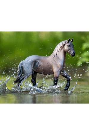 Blue Roan Brabant