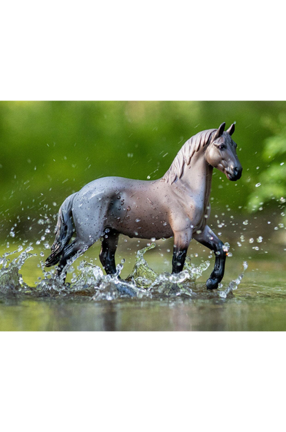 BLUE ROAN BRABANT