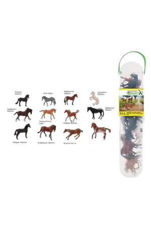 Box Of Mini Horses