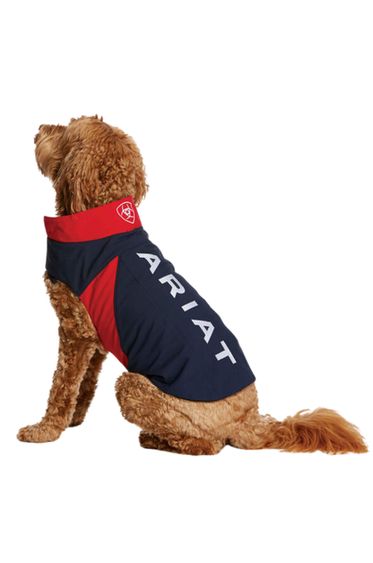 ARIAT TEAM SOFTSHELL DOG JACKET