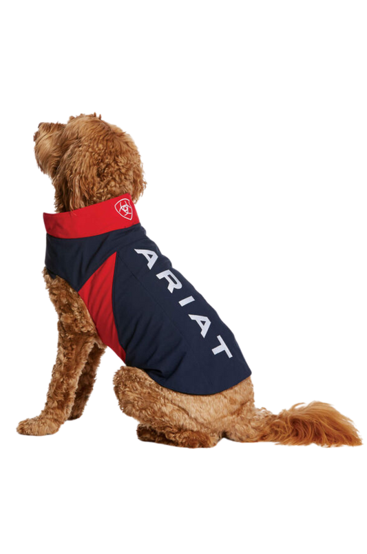 ARIAT TEAM SOFTSHELL DOG JACKET