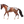 Red Dun Pintaloosa