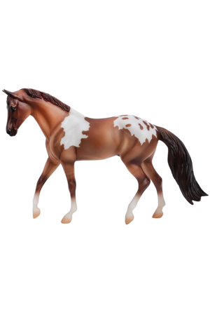 Red Dun Pintaloosa