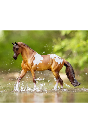 Red Dun Pintaloosa
