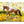 Red Dun Pintaloosa
