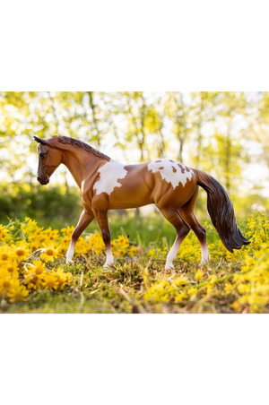 Red Dun Pintaloosa