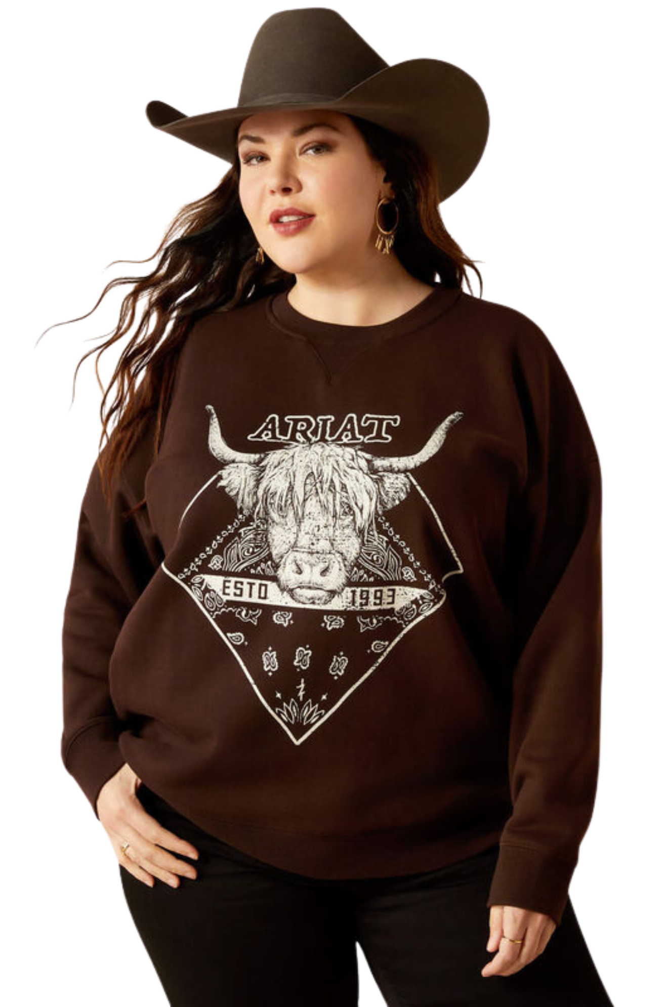 ARIAT TAURUS OVERSIZED CREW SWEATSHIRT