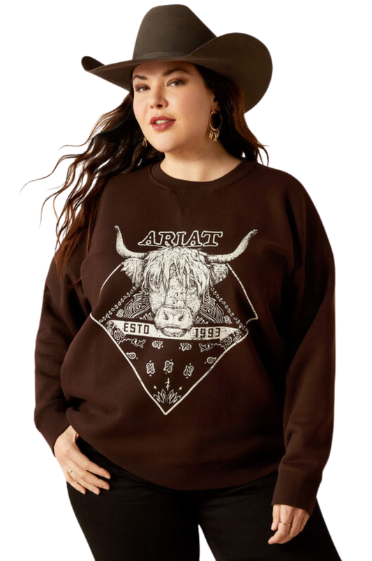 ARIAT TAURUS OVERSIZED CREW SWEATSHIRT