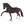 Salvino