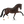 Salvino