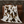 A sherpa throw with a cowhide print pattern in beige, brown, and white colors.