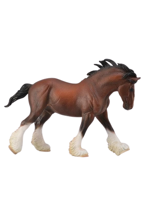 Clydesdale Stallion Bay