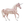 Aurora- Unicorn