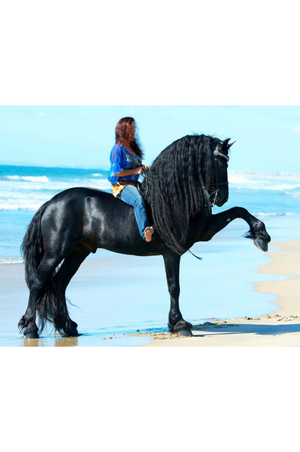 Sjoerd