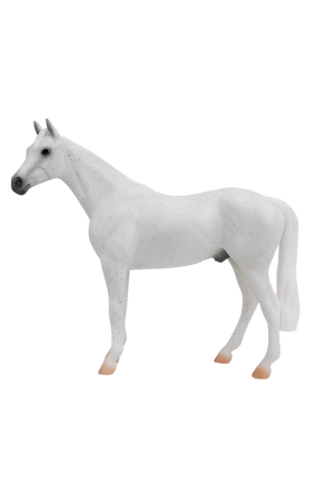 Fleabitten Gray Thoroughbred