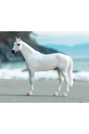 Fleabitten Gray Thoroughbred