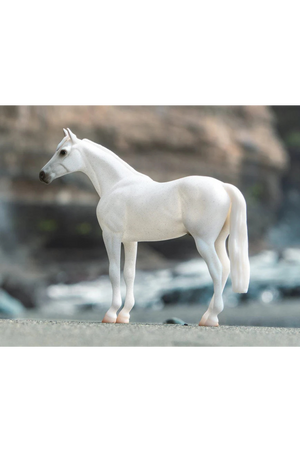 Fleabitten Gray Thoroughbred