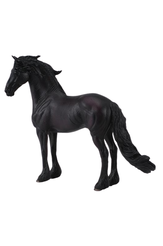 FRIESIAN STALLION